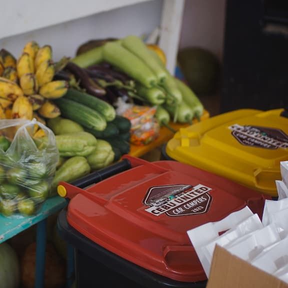 Vegetables and some donation items